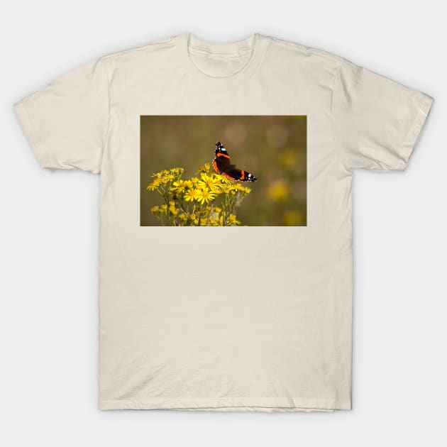 Red Admiral T-Shirt by Violaman